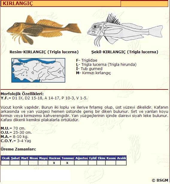 Ogil onasini sikib ichkariga kirdi